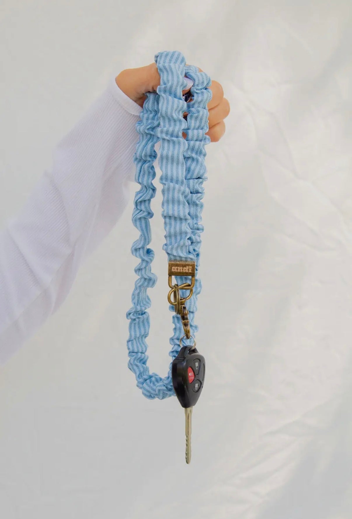 Blue Striped Lanyard
