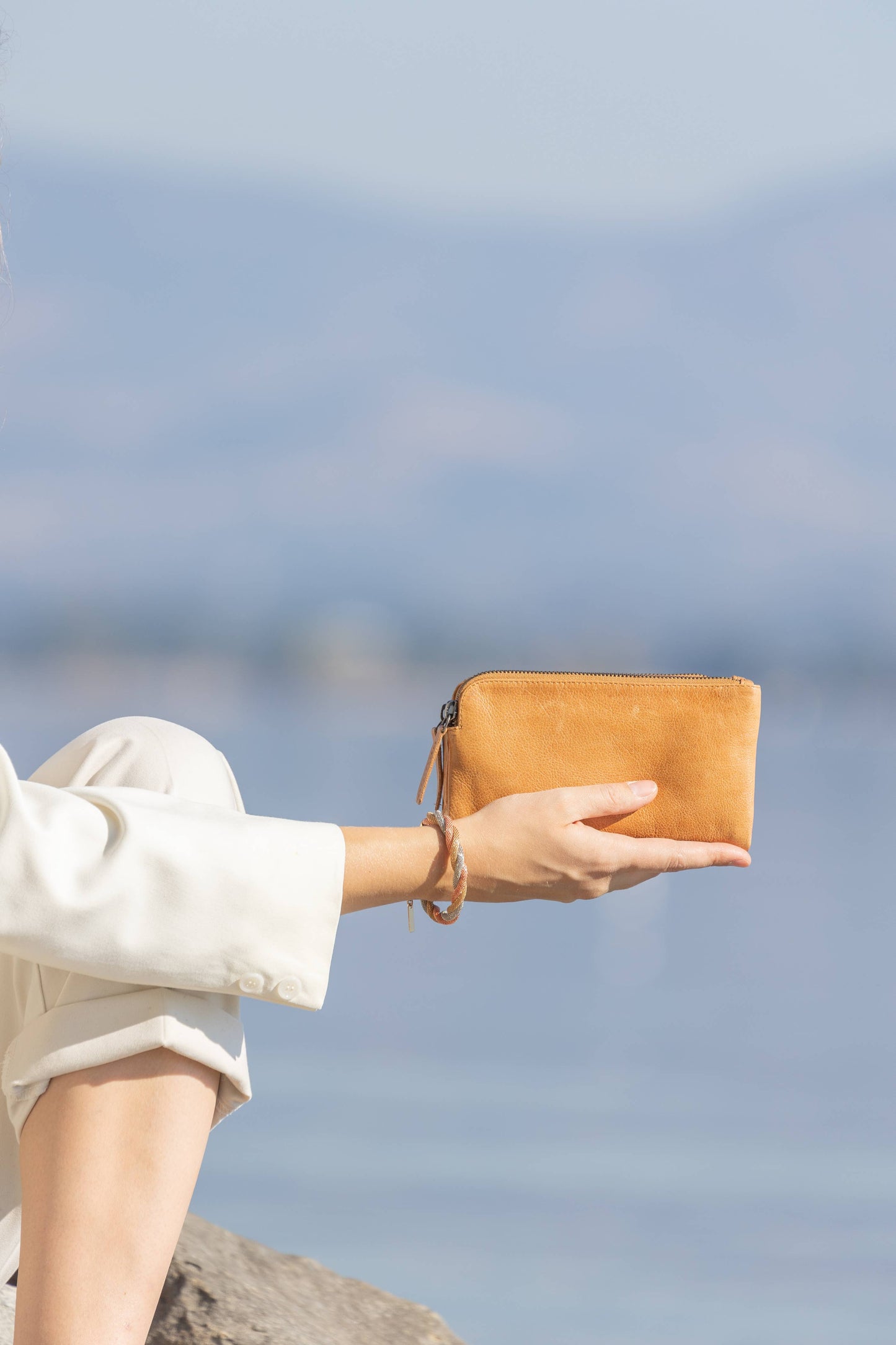 Elena Wallet