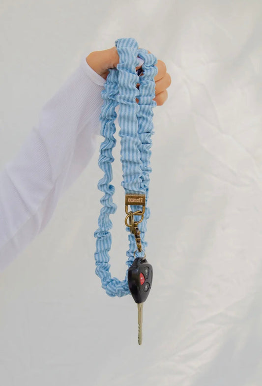 Blue Striped Lanyard