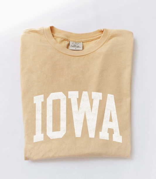 IOWA Golden Tee